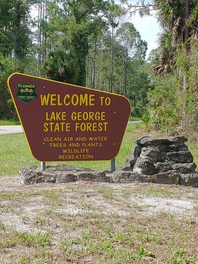 Lake George State Forest