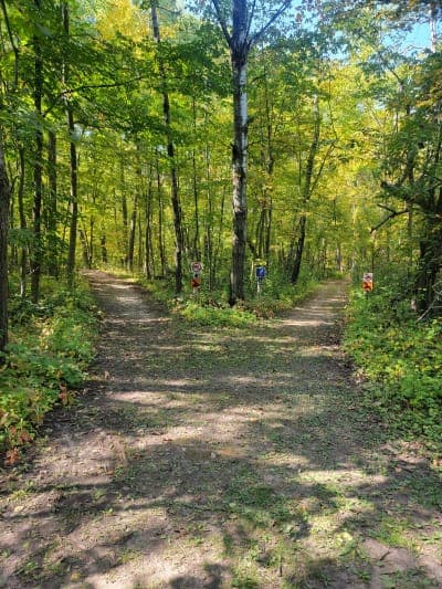 Lake Carlos State Park