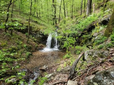 Lake Catherine State Park