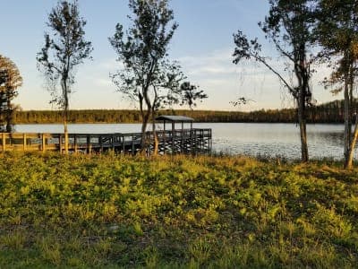 Lake Louisa State Park