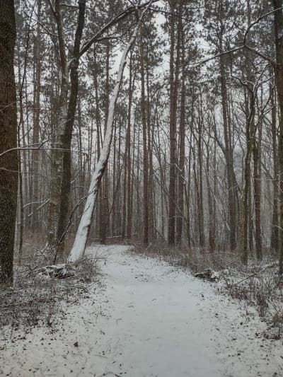 Lake Le-Aqua-Na State Recreation Area