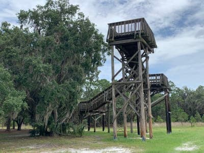 Lake Kissimmee State Park