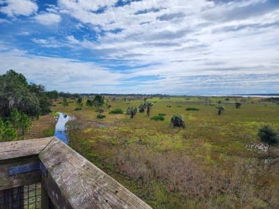 Lake Kissimmee State Park