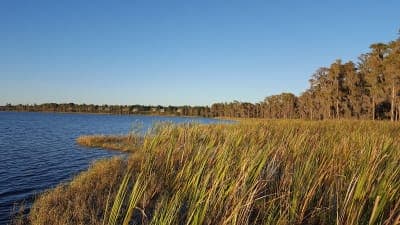 Lake Louisa State Park
