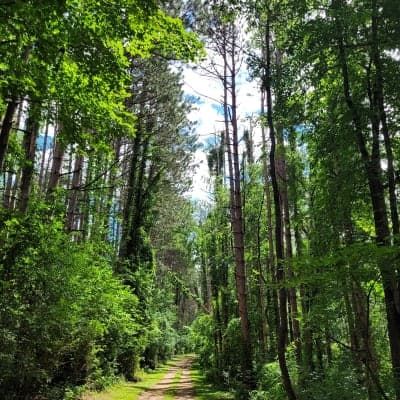 Lake Le-Aqua-Na State Recreation Area