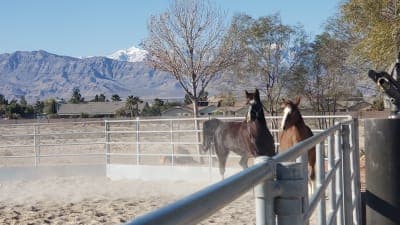 Bradley Bridle Park