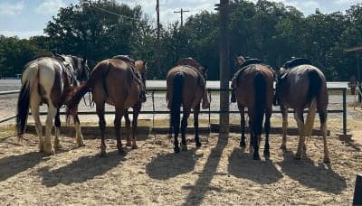 Lake Murray State Park & Lake Murray Riding Stables
