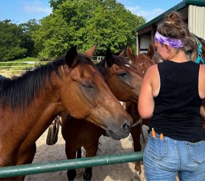 Lake Murray State Park & Lake Murray Riding Stables