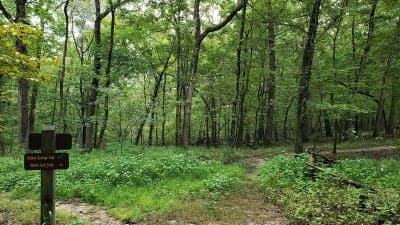 Lake of the Ozarks State Park