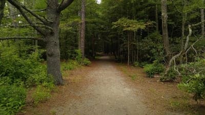 Bradley Palmer State Park
