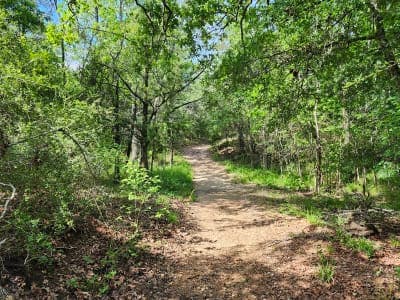 Lake Somerville State Park & Trailway