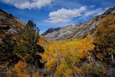 Lamoille Stock Trail / Ruby Crest Access