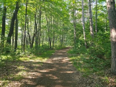Lake Wissota State Park