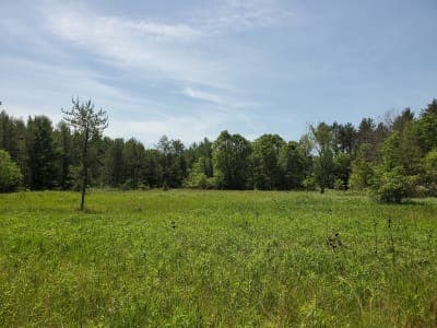 Lake Wissota State Park
