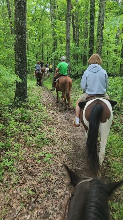Land Between the Lakes Wranglers Riding Stables