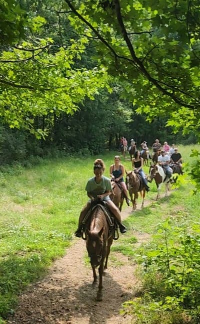 Land Between the Lakes Wranglers Riding Stables