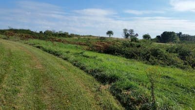 Laurel Hill Equestrian Center & Trails