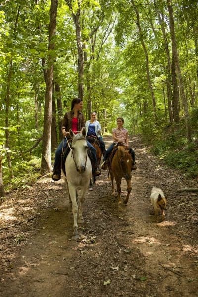 Land Between the Lakes Wranglers Campground
