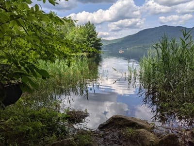 Lefferts Pond Area