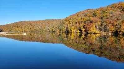 Laurel Hill State Park