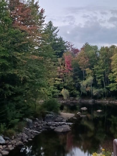 Lefferts Pond Area