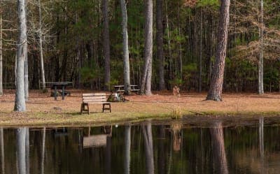 Lee State Park