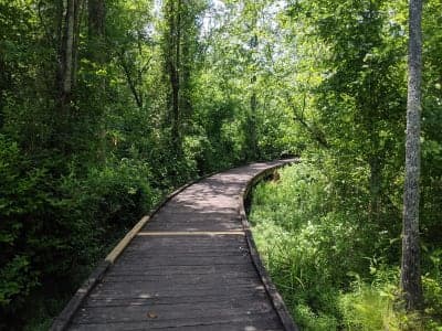 Lee State Park