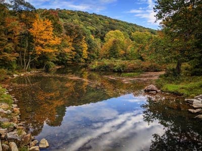 Laurel Hill State Park