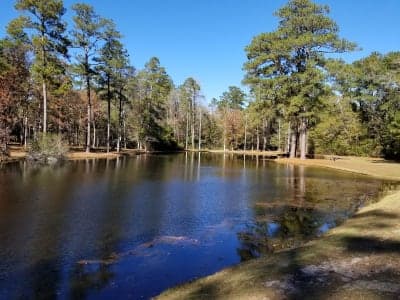 Lee State Park