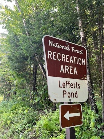 Lefferts Pond Area