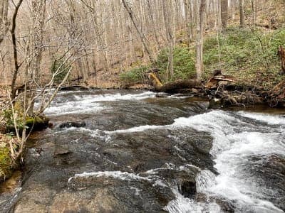 Laurel Hill State Park