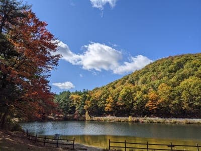 Leominster State Forest