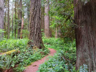 Lewis and Clark State Park