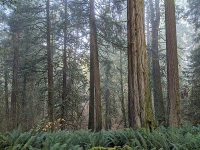 Lewis and Clark State Park