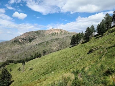 Lincoln National Forest