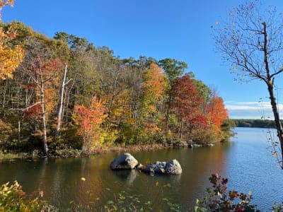 Lincoln Woods State Park