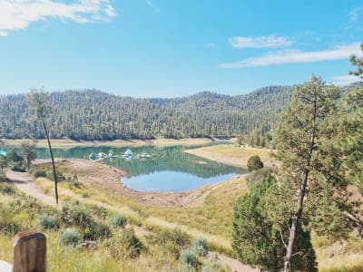 Lincoln National Forest