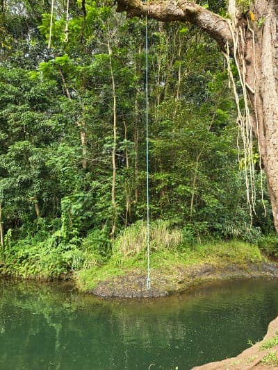 Līhuʻe-Kōloa Forest Reserve / Keāhua–Kuilau–Powerline Network