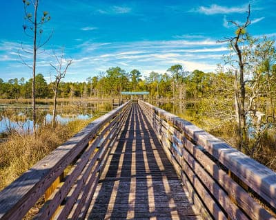 Little Big Econ State Forest