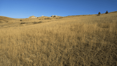 Little Missouri National Grassland
