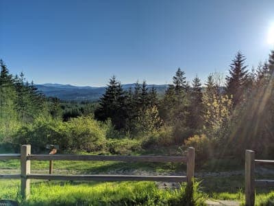 L.L. Stub Stewart State Park
