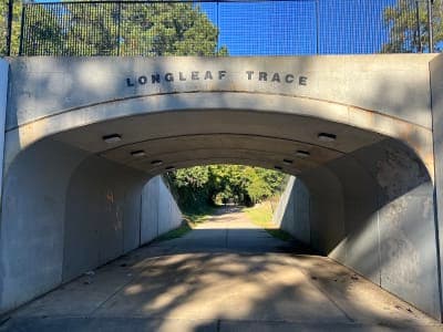 Longleaf Trace Equestrian Trail