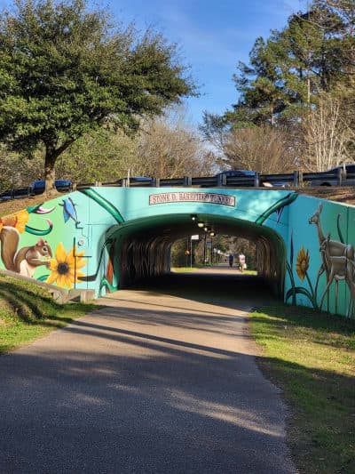Longleaf Trace Equestrian Trail