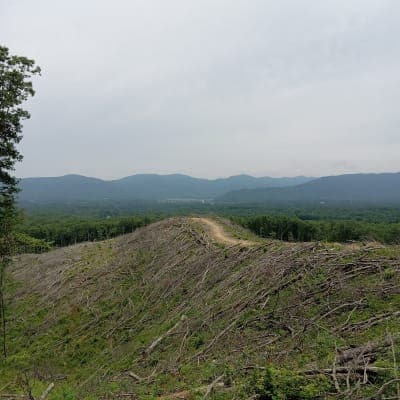 Lone Mountain State Forest