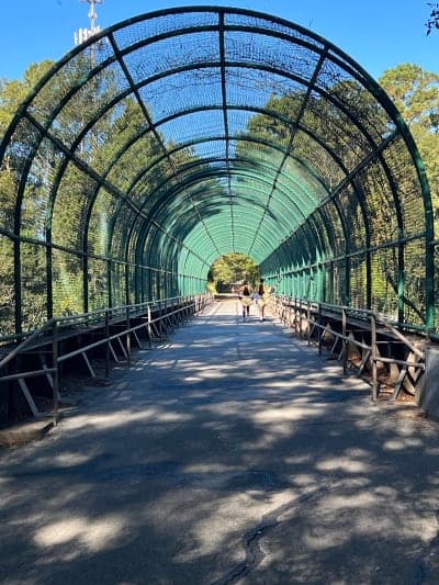 Longleaf Trace Equestrian Trail