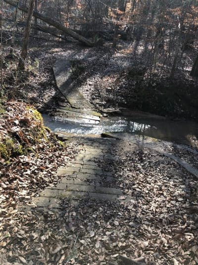 Long Cane Horse Trail