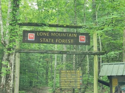 Lone Mountain State Forest
