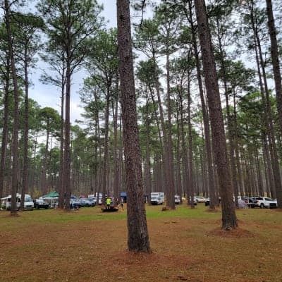 Longleaf Horse Trail
