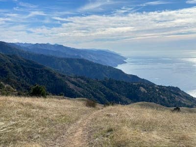 Los Padres National Forest