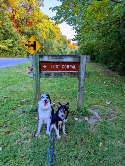 Lost Corral Horse Camp & Starr Mountain Trails